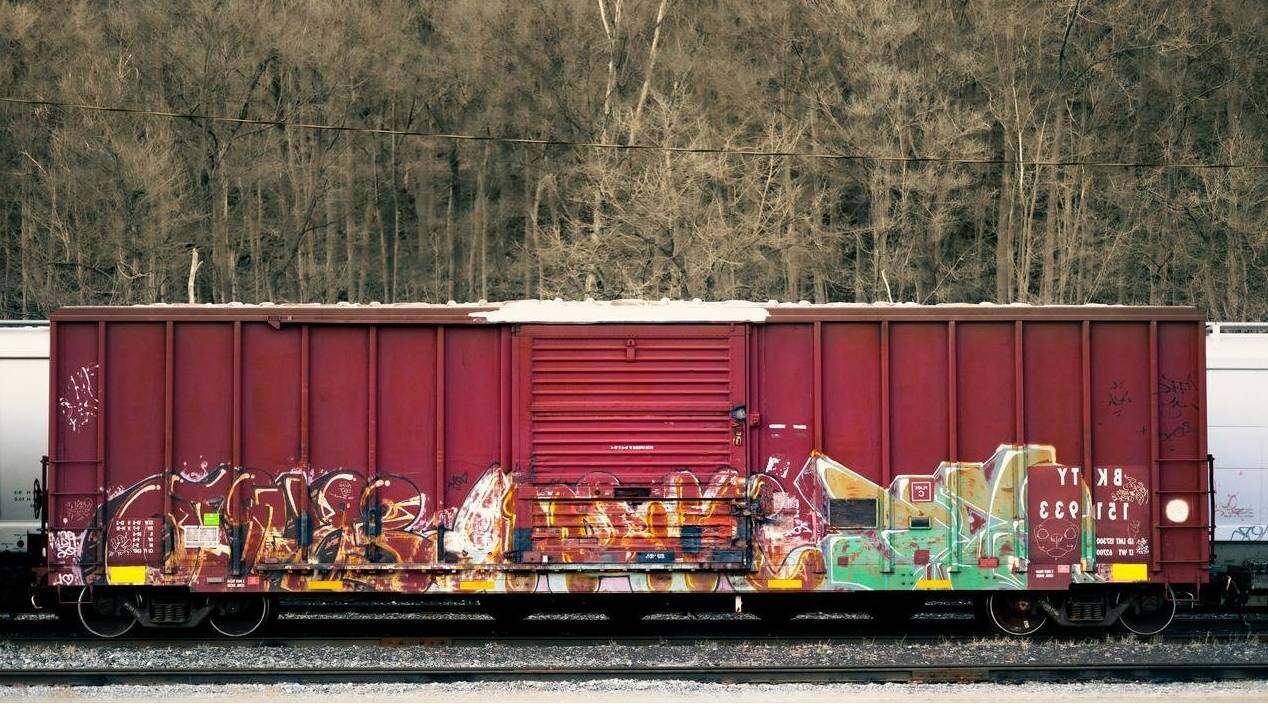 Customs compliance